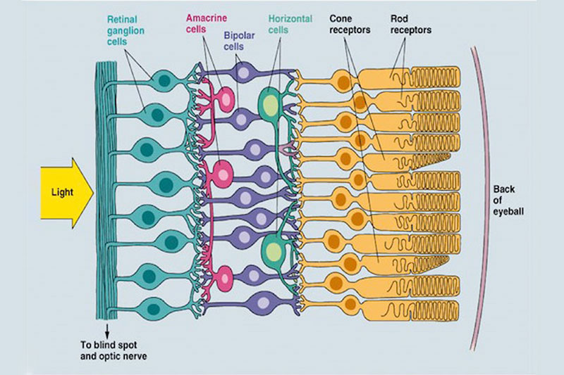 Retina Photonics